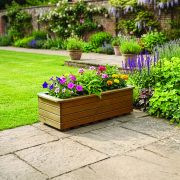 Padstow Planter